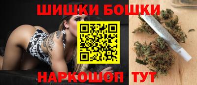 дмт Гатчина